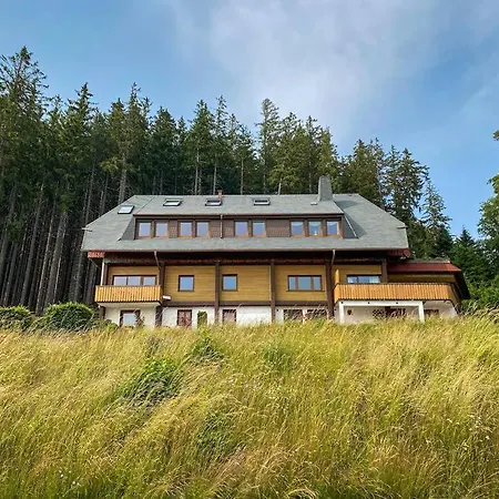 Apartment Haus Bergpause, Ferienwohnung Bergherz Schonach im Schwarzwald